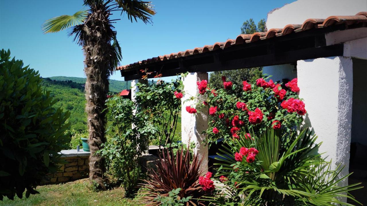 Apartments Garden Motovun Kültér fotó