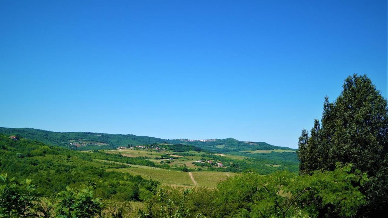 Apartments Garden Motovun Kültér fotó