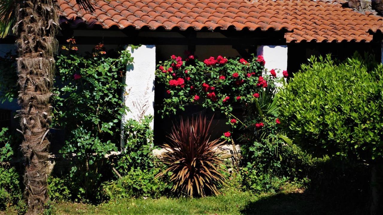 Apartments Garden Motovun Kültér fotó