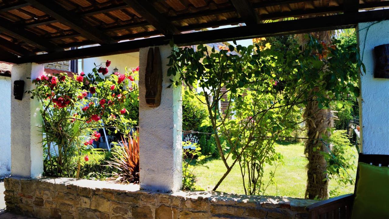 Apartments Garden Motovun Kültér fotó